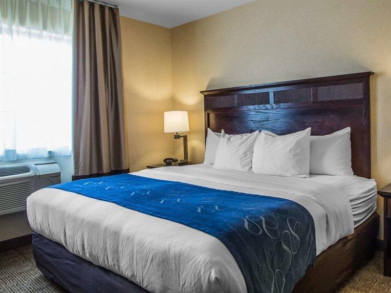 Hotel Comfort Geneva East 3*