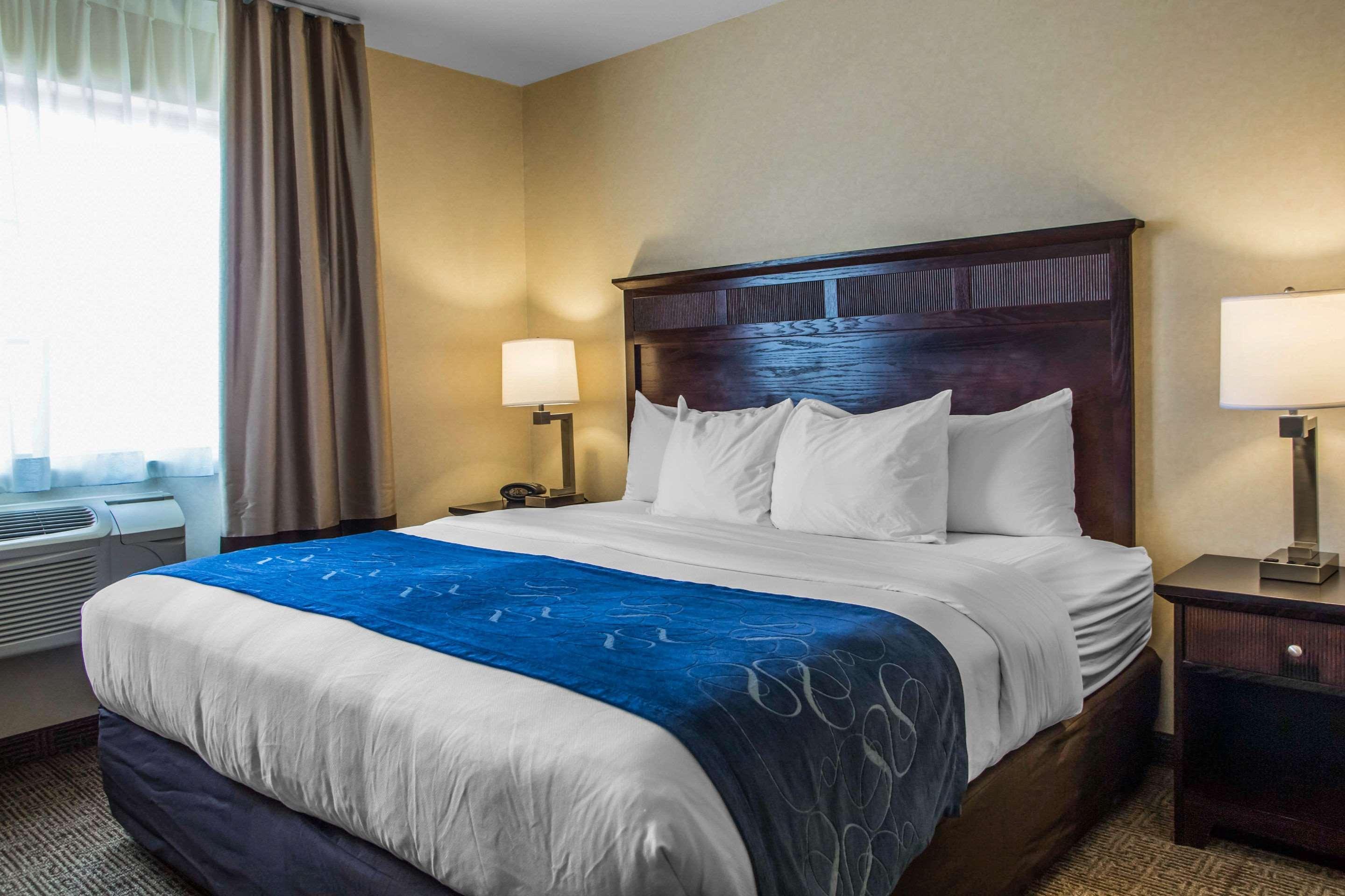 Hotel Comfort Geneva East 3*