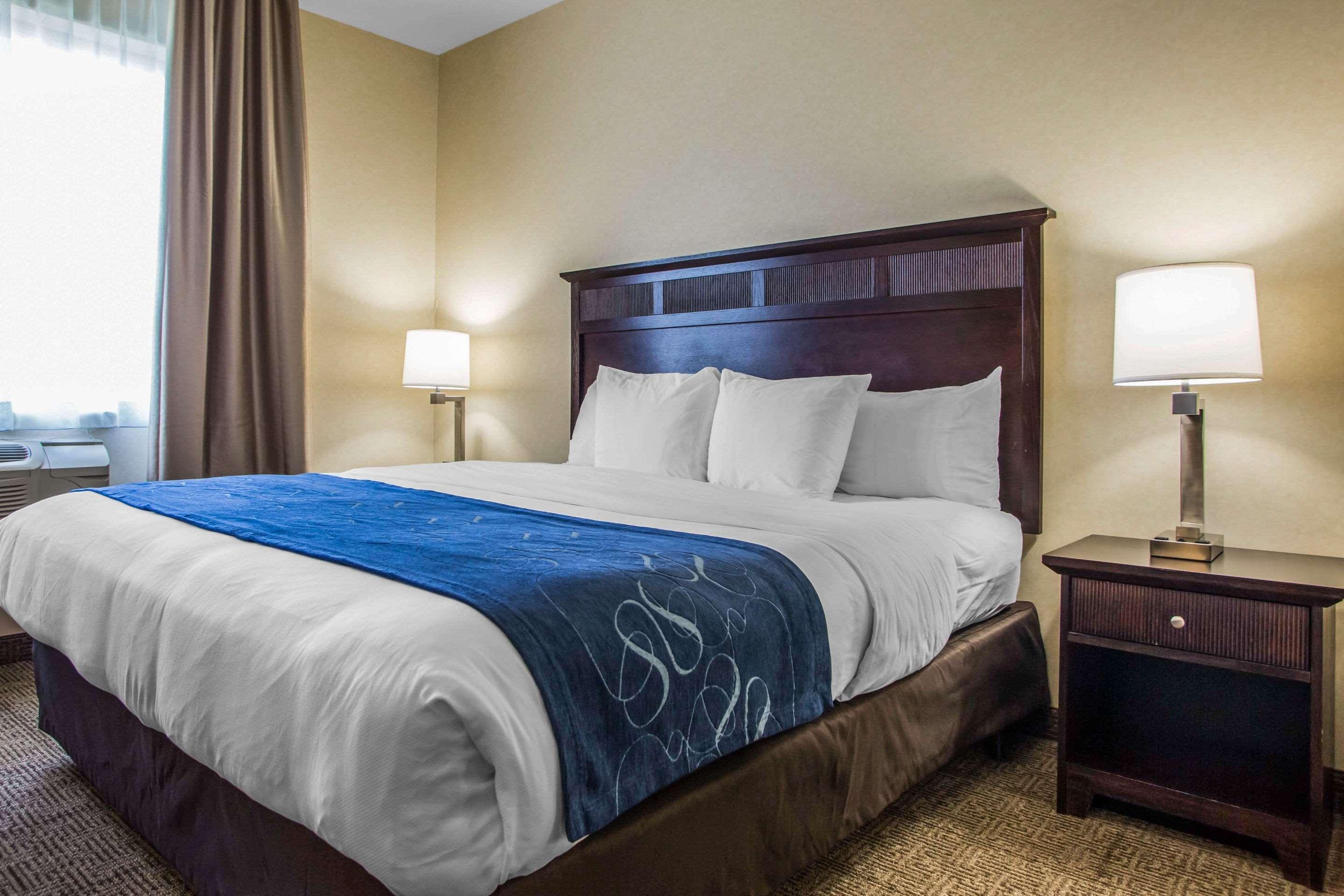 Hotel Comfort Geneva East 3*