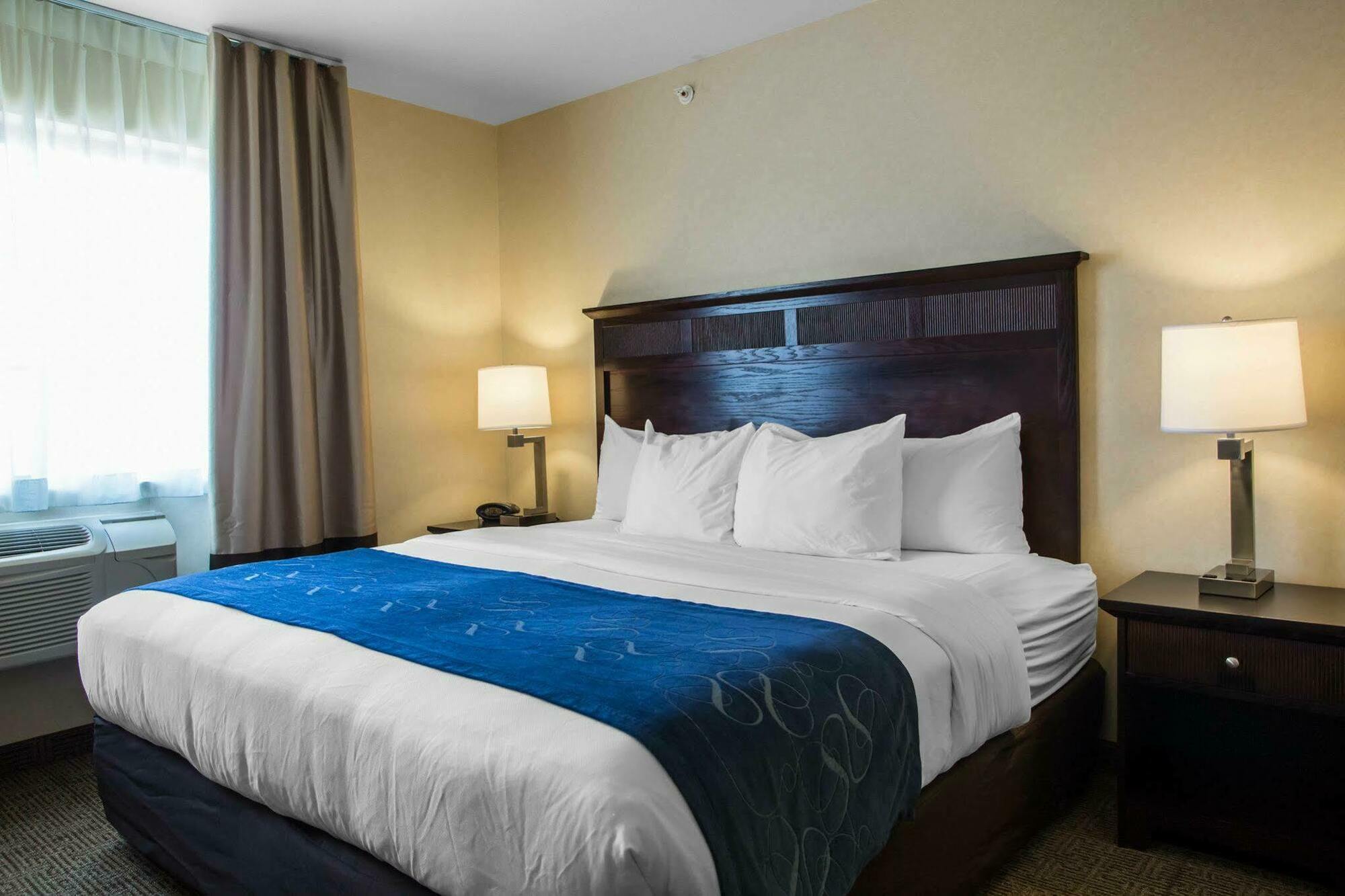Hotel Comfort Geneva East 3*